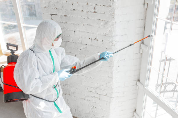 Professional Mold Inspection in Coshocton, OH